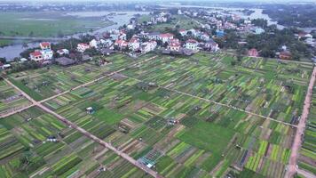 aéreo da nang tierras de cultivo mosaico Vietnam video