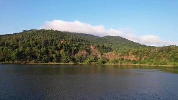 aérien tranquillité, serein Lac et forêt video