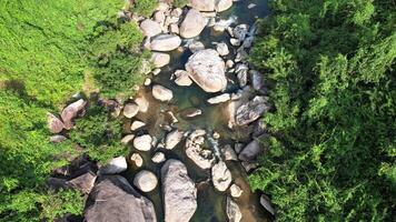 Serene Forest Stream Aerial   Sunlit Wilderness , Earth day video