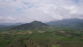 Aerial Green Tea Fields   Cloudy Skies video