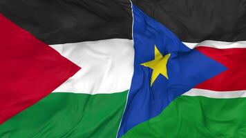 Palestine and South Sudan Flags Together Seamless Looping Background, Looped Bump Texture Cloth Waving Slow Motion, 3D Rendering video