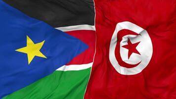Tunisia and South Sudan Flags Together Seamless Looping Background, Looped Bump Texture Cloth Waving Slow Motion, 3D Rendering video