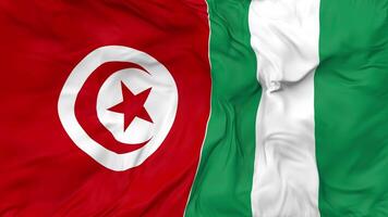 Tunisia and Nigeria Flags Together Seamless Looping Background, Looped Bump Texture Cloth Waving Slow Motion, 3D Rendering video