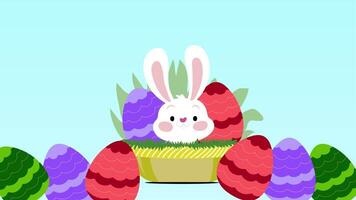 Cartoon Animation Easter eggs with cute bunny. video