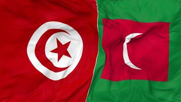 Tunisia and Maldives Flags Together Seamless Looping Background, Looped Bump Texture Cloth Waving Slow Motion, 3D Rendering video