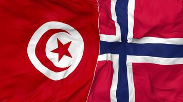 Tunisia and Norway Flags Together Seamless Looping Background, Looped Bump Texture Cloth Waving Slow Motion, 3D Rendering video