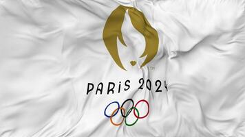 Paris 2024 verão Jogos Olímpicos bandeira desatado looping fundo, em loop pano acenando lento movimento, 3d Renderização video