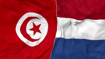 Tunisia and Netherlands Flags Together Seamless Looping Background, Looped Bump Texture Cloth Waving Slow Motion, 3D Rendering video