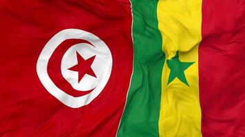Tunesië en Senegal vlaggen samen naadloos looping achtergrond, lusvormige buil structuur kleding golvend langzaam beweging, 3d renderen video