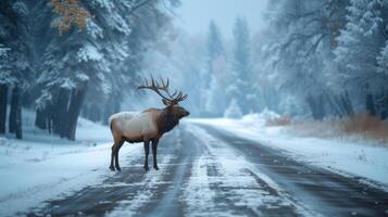 AI generated An elk is baking the road right in front of the car. Winter photo