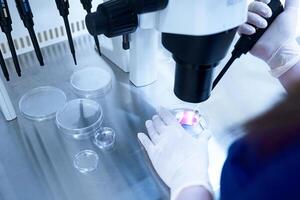 Equipment on laboratory of Fertilization, IVF. Microscope of reproductive medicine clinic fertilizing egg outside female body. Disease laboratory research photo