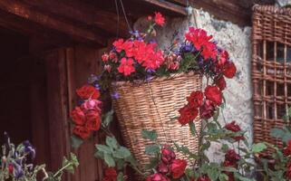 a basket with red and purple flowers hanging from a wooden wall photo