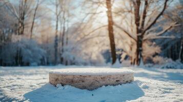 ai generado un blanco vacío Roca redondo podio soportes en el nieve foto