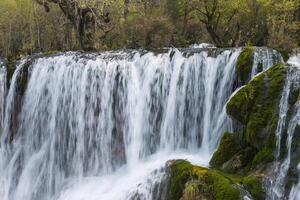 bambú lago cascada, jiuzhaigou nacional parque, Sichuan provincia, porcelana, la unesco mundo patrimonio sitio foto