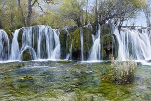 flecha bambú lago cascadas, jiuzhaigou nacional parque, Sichuan provincia, porcelana, la unesco mundo patrimonio sitio foto