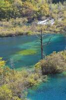 Sparkling lake Cascades, Jiuzhaigou National Park, Sichuan Province, China, Unesco World Heritage Site photo