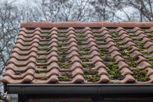 roof with clay tiles and moss photo