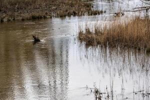 small river meandering through the landscape photo