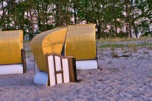 Beach chair on the beach at Zingst on the Baltic Sea. Trees in the background. Landscape shot on the coast photo