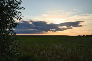 Sunset at the edge of a forest bordering a field in Sweden on the island of Oeland photo