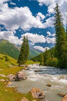 Along the river's path, fir trees stand sentinel, their branches overhanging the rapid flow that etches a serpentine trail through the heart of a flourishing, sunlit mountainous valley. photo