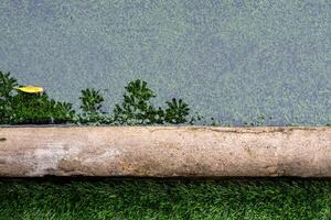 The reflection of tree in the flooding water surface on the artificial grass football field photo