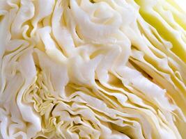 Close up to texture of inside a Cabbage photo