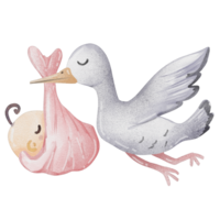 watercolor stork with newborn baby png