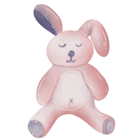 aquarelle lapin poupée png