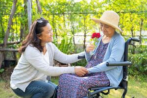 Asian senior or elderly old lady woman holding red rose flower, smile and happy in the sunny garden. photo