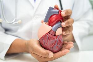 cardiovascular enfermedad CVD, asiático médico participación humano anatomía modelo para aprender y tratar corazón enfermedad. foto