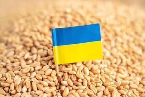 Grains wheat with Ukraine flag, trade export and economy concept. photo