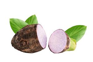 Taro root and slice with leaf isolated on white background. photo