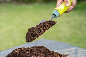 Gardener woman holding peat moss organic matter improve soil for agriculture organic plant growing, ecology concept. photo