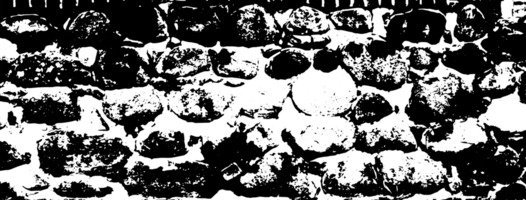 Rustic grunge texture with grain and stains. Abstract noise background. PNG graphic illustration with transparent background.
