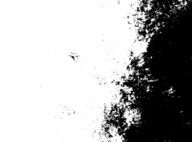 Rustic grunge texture with grain and stains. Abstract noise background. PNG graphic illustration with transparent background.