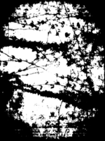 grunge gräns textur bakgrund. abstrakt ram täcka över. png grafisk illustration med transparent bakgrund.