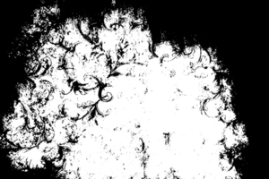 Grunge border texture background. Abstract frame overlay. PNG graphic illustration with transparent background.