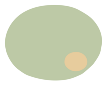 kleurrijk pastel groen kleur toespraak bubbel ballon, icoon sticker memo trefwoord ontwerper tekst doos banier, vlak PNG transparant element ontwerp