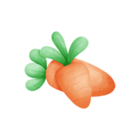 mignonne Orange carotte clipart, dessin animé carotte illustration, Orange carotte main tiré illustration, adapté pour Pâques à thème des illustrations et de fête conceptions. png