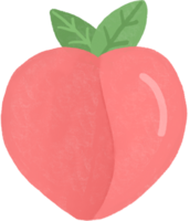 Peach fruitsi llustration on transparent background png