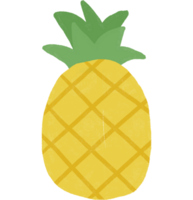 Pineapple fruits illustration on transparent background png