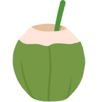 coconut juice. summer concept. fruits illustration on transparent background png