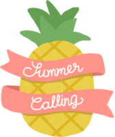 Pineapple fruits illustration on transparent background png