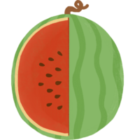 watermelon fruits illustration on transparent background png