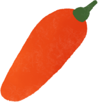 röd chili peppar ClipArt. illustration på transparent bakgrund png