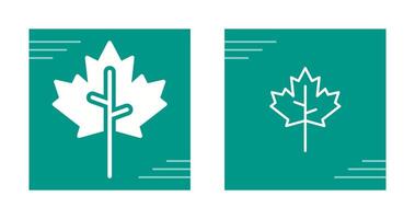 Maple leaf Vector Icon