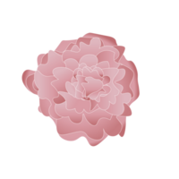 lente bloemen png