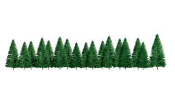 3D Forest and christmas Green trees isolated on PNGs transparent background , Use for visualization in architectural design or garden decorate