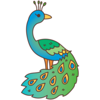 pavo real dibujos animados garabatear png